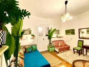 Boutique studio flat at city center